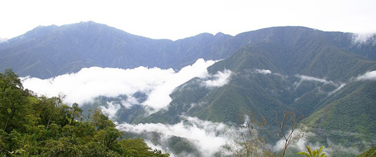 Los Yungas in Bolivien: Ecojet soll die wichtigsten Ziele des Landes anfliegen.