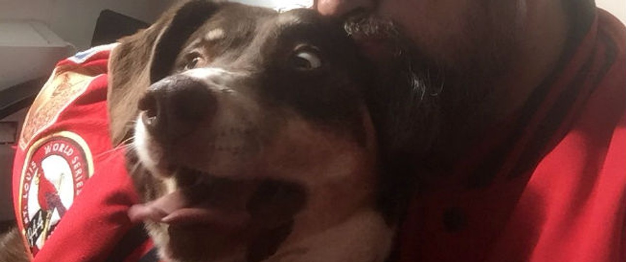 Joey: Endlich wieder mit seinem geliebten Herrchen vereint.