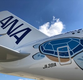 Sieben weitere Flüge nach Nirgendwo mit Airbus A380