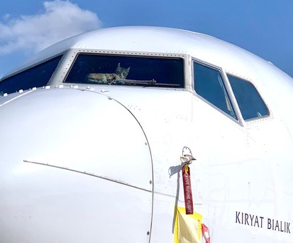 Katze im Flieger: Das Tier besetzte das Cockpit einer El Al Boeing 737.