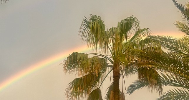 Palmen sehen: Urlaub zu machen, wird immer teurer. 
