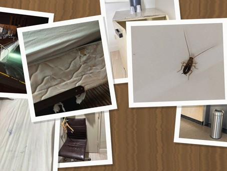 Fotos aus dem Crewhotel in Miami: Nicht, was man sehen möchte.