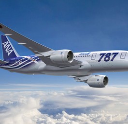 Der Dreamliner: Stromlinienförmig oder ein fliegender Fisch?
