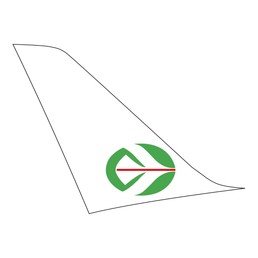 ticker doemstic airlines
