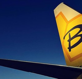 Heck eines Bees-Jets: Mussten schon Mitte Februar ausgeflogen werden.