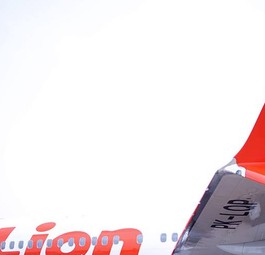 Boeing 737 Max von Lion Air: Ungeschulte Piloten hatten schlechte Karten.