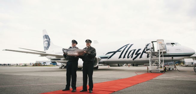 Auch ungewöhnliche Passagiere: Boeing 737-400 Combi von Alaska Airlines.