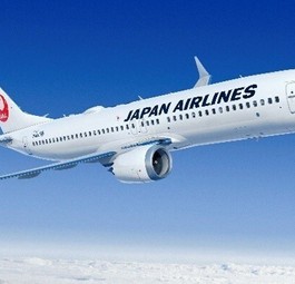 Boeing 737 Max 8 für Japan Airlines: So soll sie aussehen.