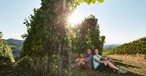 Schwarzwald Sasbachwalden Weinberge