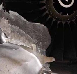 Beschädigtes Triebwerk: Der Büffel beschädigte den Jet.