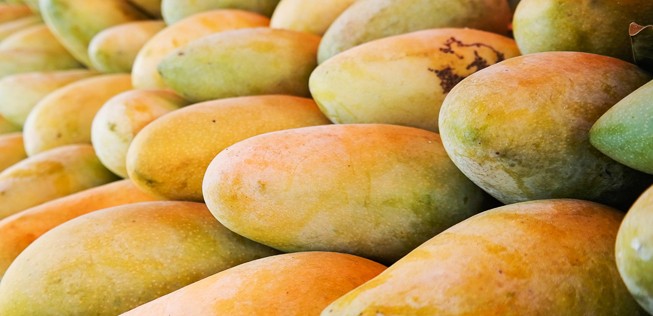 Frische Mangos: Lösten die Früchte einen Alarm aus?