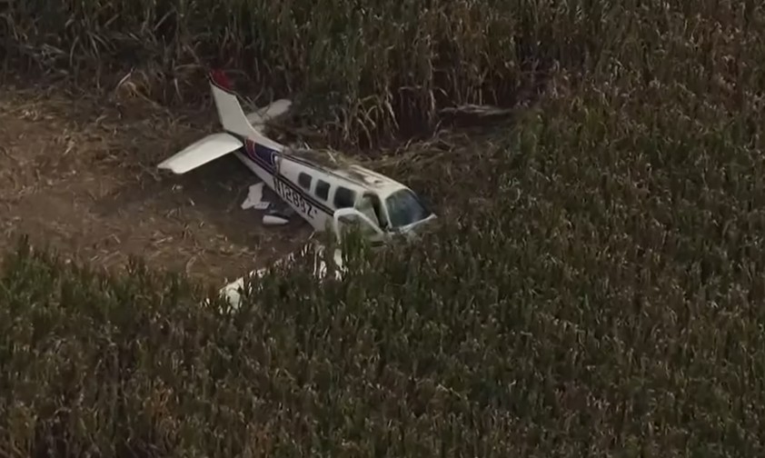 Die abgestürzte Beechcraft im Maisfeld: Alle vier Personen haben überlebt.