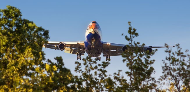 Und mit auffälligen Spezialbemalungen für eine Aktion zum Schutze des bedrohten Amur-Tigers machte die Airline ebenfalls auf sich aufmerksam.