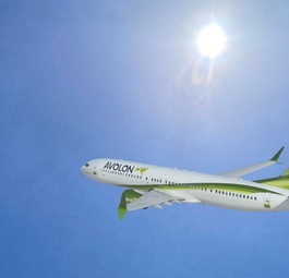 Boeing 737 Max in den Farben von Avolon: Noch mehr Jets abbestellt.