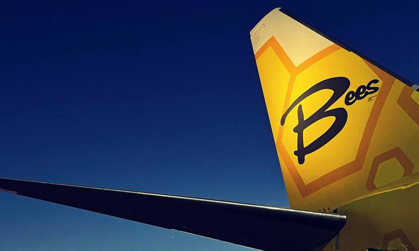 Heck eines Bees-Jets: Mussten schon Mitte Februar ausgeflogen werden.
