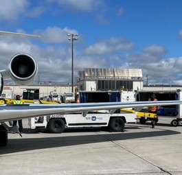 Flieger von Pivot Airlines: Die Fluggesellschaft rät von der Dominikanischen Republik ab.