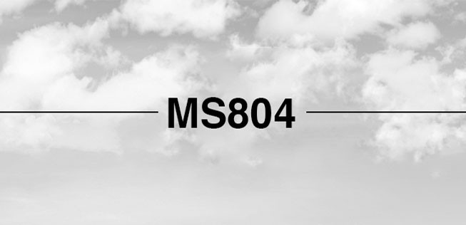 Trauerbild von MS804: Gab es einen Kampf im Cockpit?