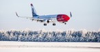 Boeing 737 von Norwegian: Im Winter nur noch in Norwegen unterwegs.