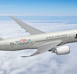 Dreamliner von Japan Airlines: Aus der Batterie trat Gas aus.