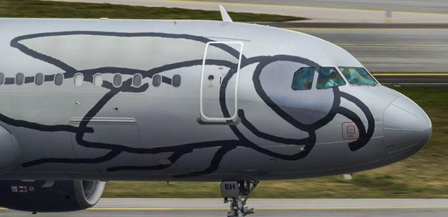 Flieger von Niki: Was wird aus der Airline?