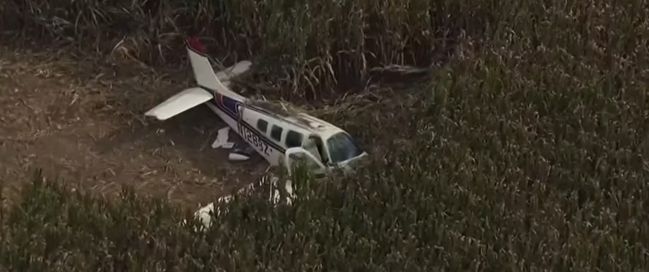 Die abgestürzte Beechcraft im Maisfeld: Alle vier Personen haben überlebt.