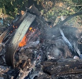 Führten Vögel zum Absturz des Superjet bei Moskau?