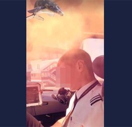 Arbeit im Cockpit. Da sollte man eigentlich nicht...