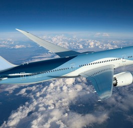 Heute treten alle Airlines der Gruppe als Tui auf.