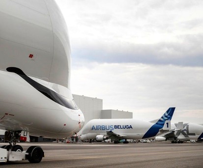 The new kid and its sisters.