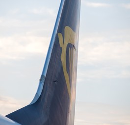 Boeing 737 von Ryanair: Weniger häufig in Dublin zu sehen.