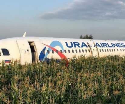The A321 of Ural Airlines in the corn field.