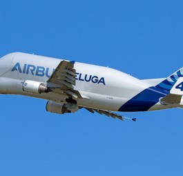 Der Airbus Beluga im Flug. Fünf Stück davon hat Airbus gebaut.