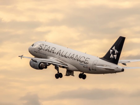 Airbus A319 von Croatia Airlines in Star-Alliance-Lackierung: In diesem Sommer bekommt der erste Airbus A220 die Sonderlackierung.