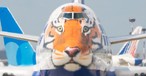 Boeing 747 mit Tiger-Lackierung, noch im Transaero-Design: Fliegt bei neuer Airline.