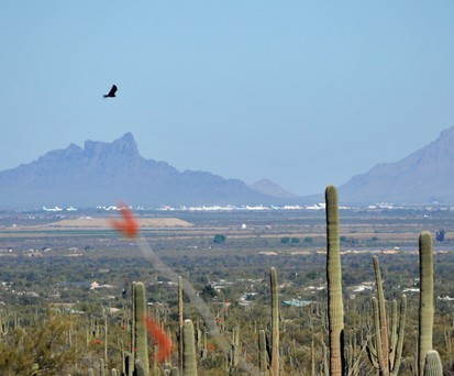 Pinal Air Park in der Mojavewüste: Wühltisch für Frachtairlines.