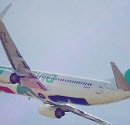 Flugzeug von Transavia: bald öfter in München zu sehen.