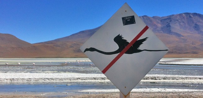 Flamingo-Schild in Südamerika: Auch so eins hätte den Crash in Montpellier kaum verhindert.