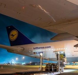 Boeing 747 von Lufthansa: Mit Zwischenstopp in Bangkok von Neuseeland nach Frankfurt.