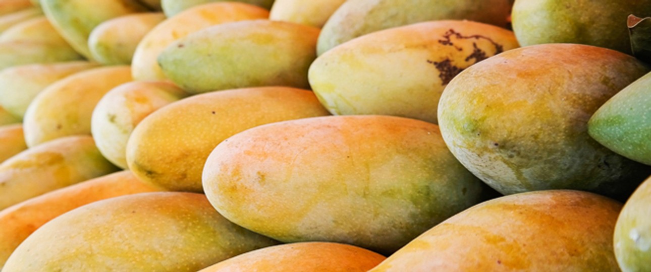 Frische Mangos: Lösten die Früchte einen Alarm aus?