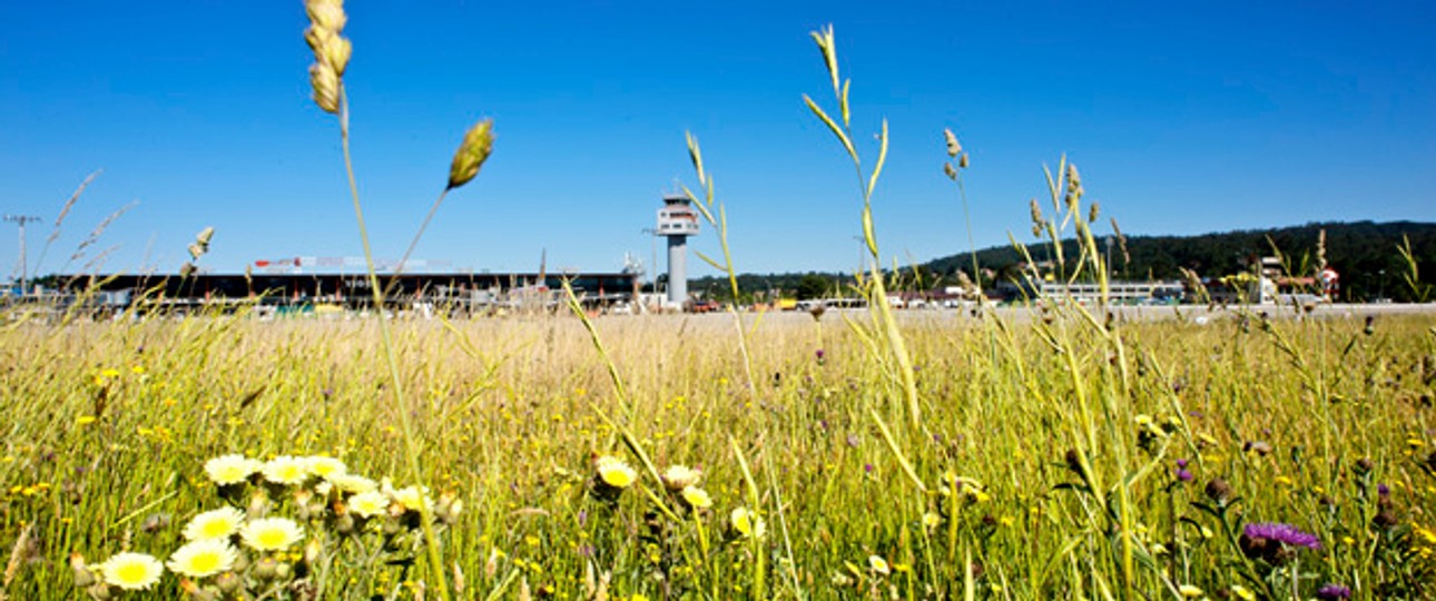Flughafen Vigo: Keine Flüge mehr nach London.