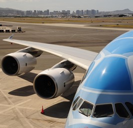 Flying Honu nennt ANA ihre drei Airbus A380. Hon ist Hawaiianisch und heißt Meeresschildkröte.