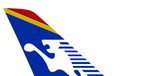 Congo Airways stellt Flüge ein