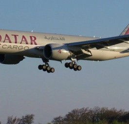 Der Flughafen Luxemburg ist laut Leser Tim Urbany ein guter Punkt, um Regierungsmaschinen zu spotten: «Es gibt eine Stelle, die besonders geeignet ist wenn man keine Leiter hat, nämlich ein kleiner Hügel direkt neben der Landebahn 24.»