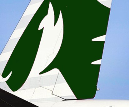 Heckflosse von Al Maha: Qatar-Logo in grün.