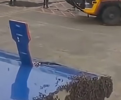 Bienenschwarm an der Frachttür: Der Flug konnte am 7. Juli erst eine Stunde später starten.