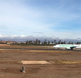 Auf <strong>Platz 5</strong> liegt <strong>Transavia</strong> mit <strong>94 Punkten</strong>.