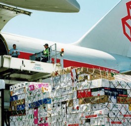 Frachter von Cargolux: Er bringt die Blumen ans Ziel.