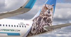 Airbus A321 von Frontier mit deutscher Testregistrierung: Die Fluglinie will mehr größere Neos.