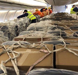 Die Kabine eines Airbus A330 von Lufthansa: Hier wird sie in Shanghai mit Fracht beladen. Die Sitze haben ...