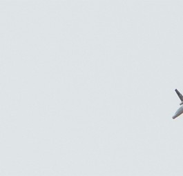 Die weltweit einzige NT-43A (rechts zu sehen in diesem Bild aus dem Jahr 2013 - links eine F-22 Raptor): Die stark umgebaute Boeing 737-200 ist ein fliegender Radar-Teststand und begleitet Testflüge von Tarnkappenflugzeugen.